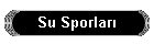 Su Sporlar