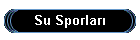 Su Sporlar